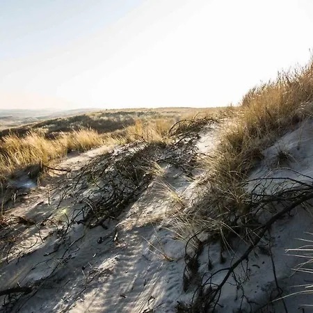 Aparthotel Hvide Sande Beach Apartments